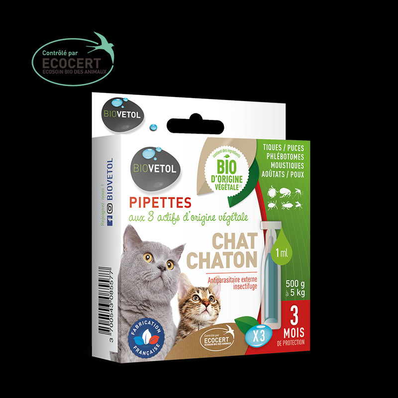 Pipette insectifuges pour chat et chaton