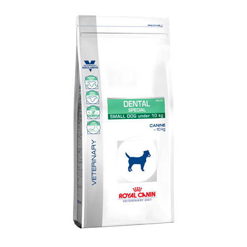 Croquettes Royal Canin Dental Special Small dog