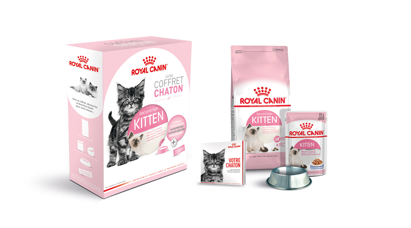 Coffret Chaton