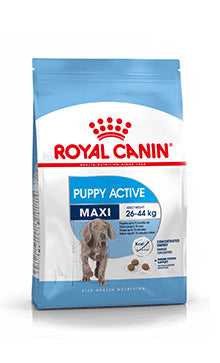 Maxi Puppy Active