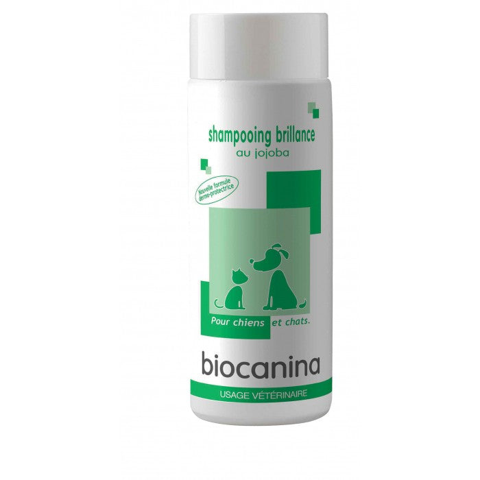 Shampooing brillance Huile de jojoba
