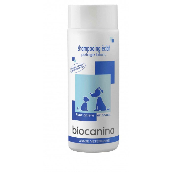 Shampooing Eclat pelage blanc