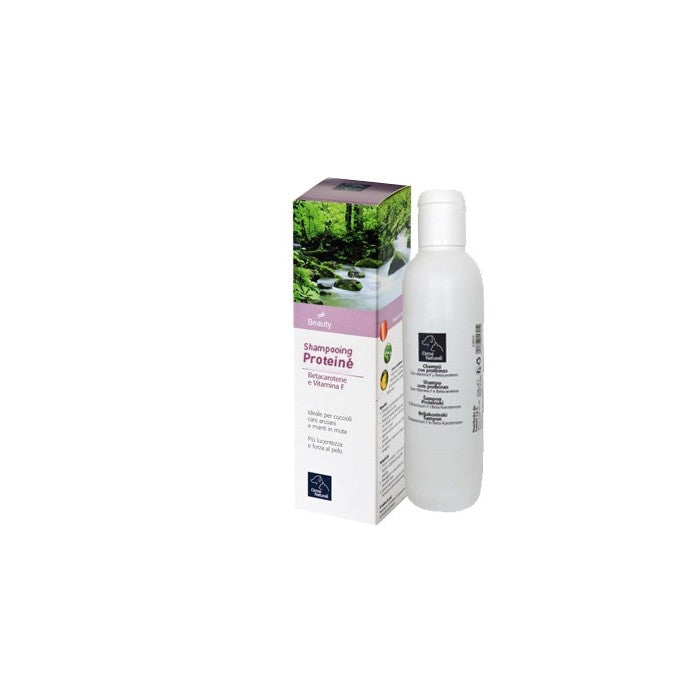 Shampooing protéique
