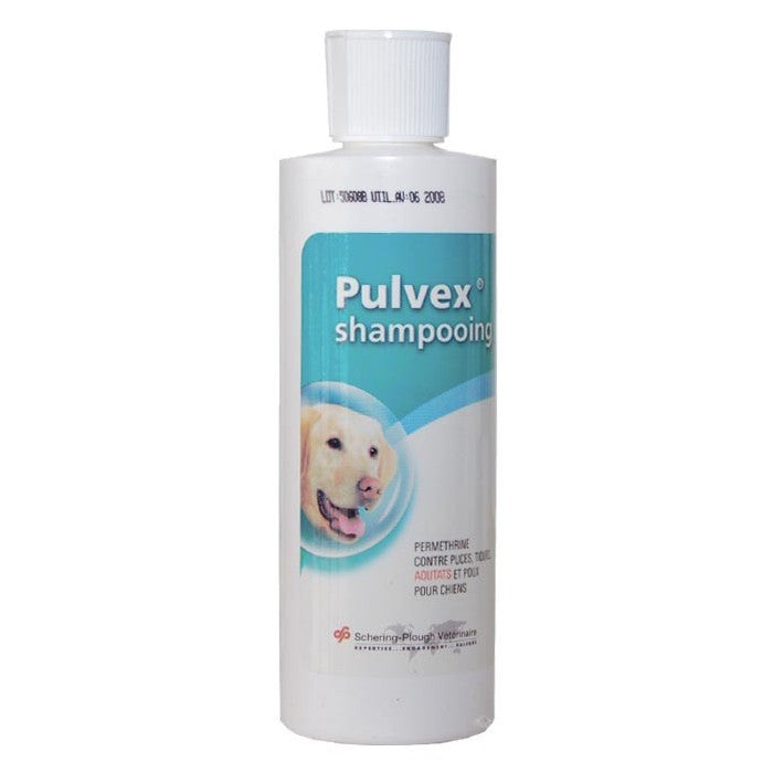 Shampooing Pulvex
