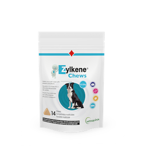 Zylkene Chews chien